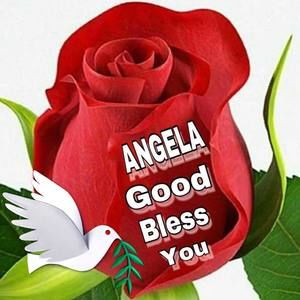 Meet your Posher, Angela